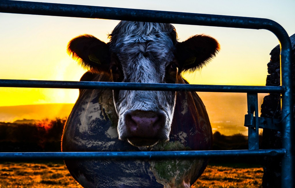 Cowspiracy: The Sustainability Secret. Photo courtesy of the filmmakers.