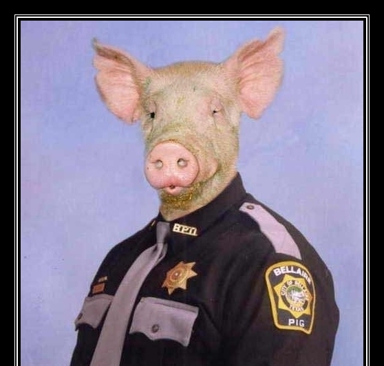 Image result for pig cop
