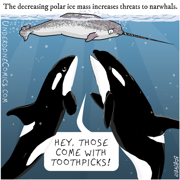 Underdone Comics: Narwhal Toothpick