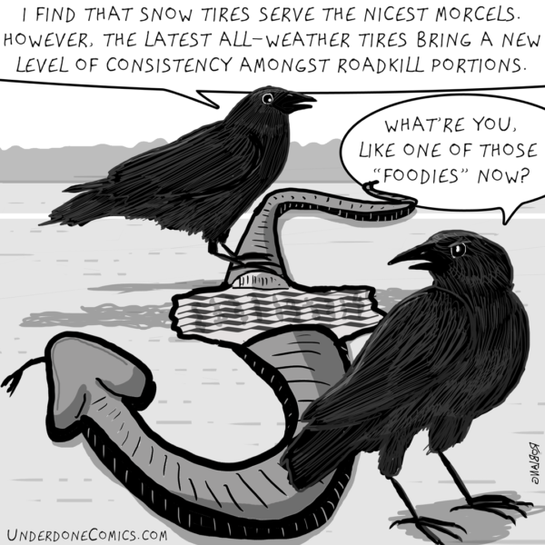 The crow is clearly a connoisseur.