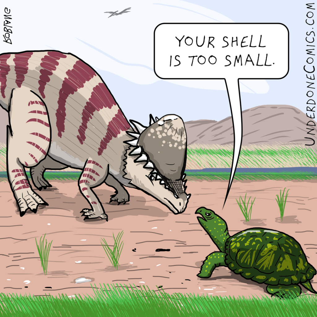Pachycephalosaurus and the Turtle