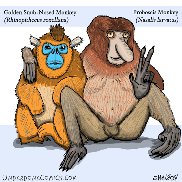 Old World Monkeys can be good friends, no matter how extreme their differences.