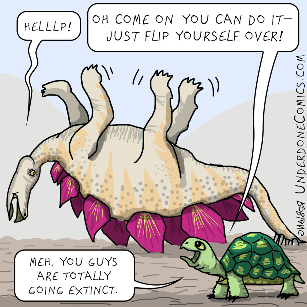 Stegosaurus and the Turtle