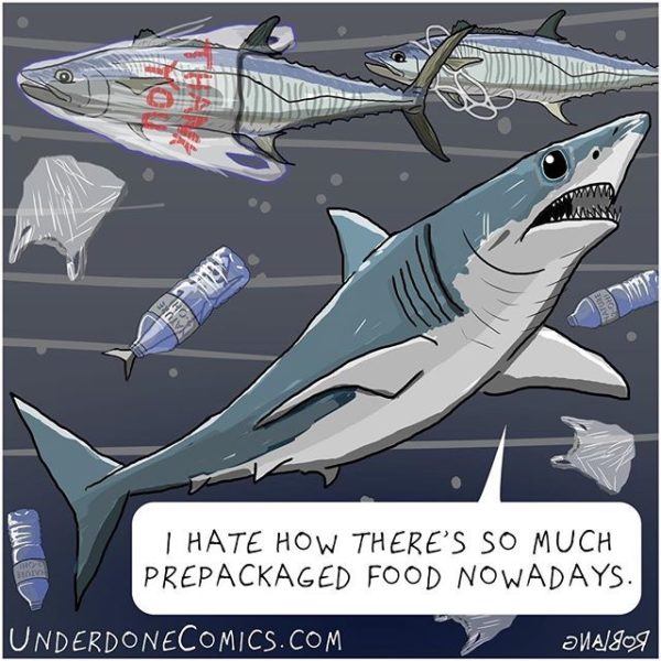 The mako shark is trying to watch what he eats.