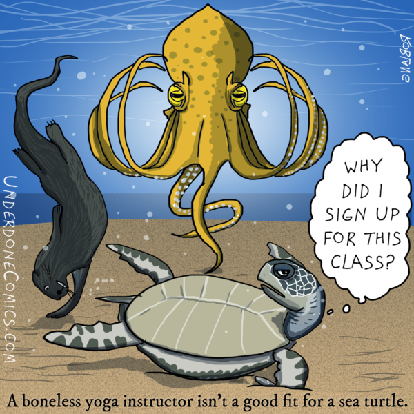 Octopus Yoga Instructor and Turtle Student