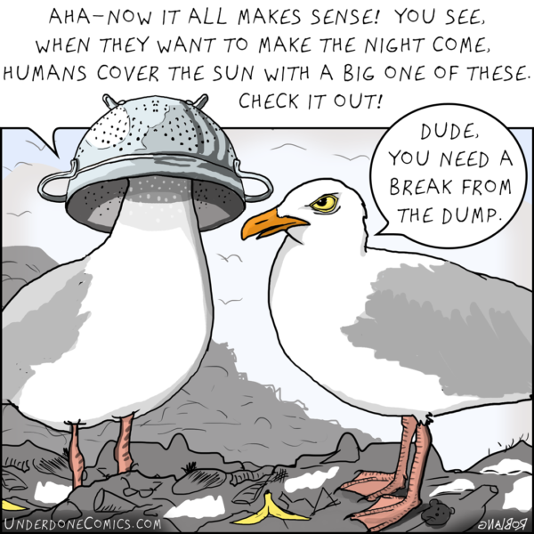 Underdone Comics - Seagull Astrophysics