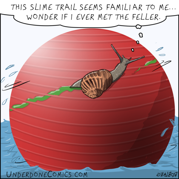 What goes around comes around very slowly. Especially when a snail slides around an exercise ball floating in water on a calm day.