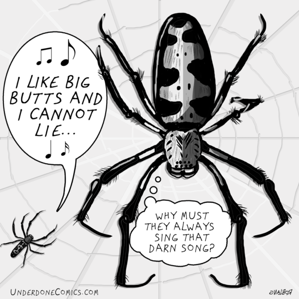 UNDERDONE Spider Butt