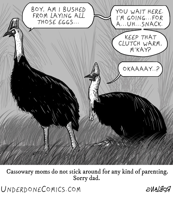 UNDERDONE-sherpa-dead-beat-cassowary-mom