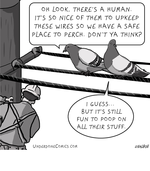 UNDERDONE--powerline-pigeons