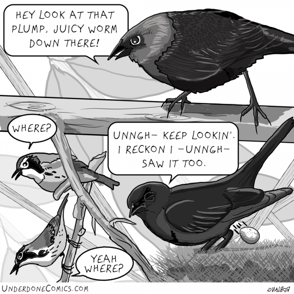 UNDERDONE: tricky cowbird
