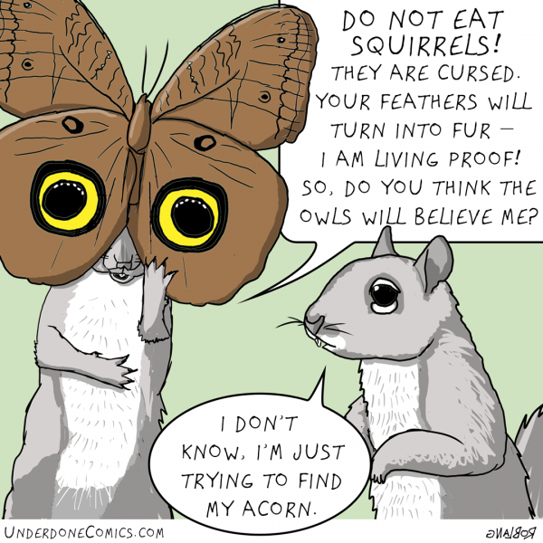 UNDERDONE owl moth and squirrel