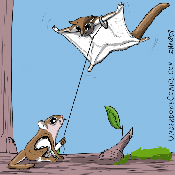 UNDERDONE flying squirrel kite