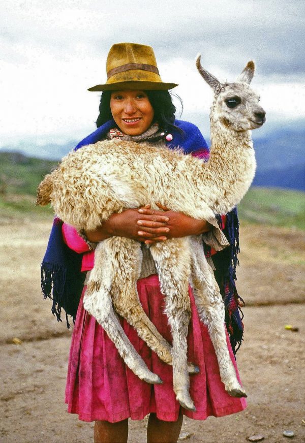 Cuzco, Peru. Llama (c) Elisa Leonelli 1981