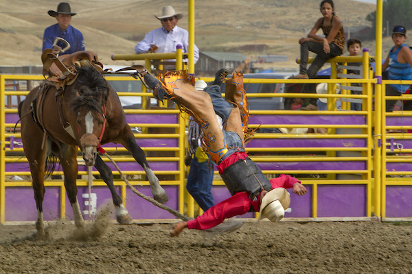 Rodeo; saddle bronc; cowboy