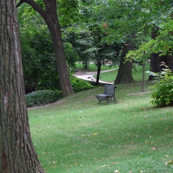 the city park bench - 2