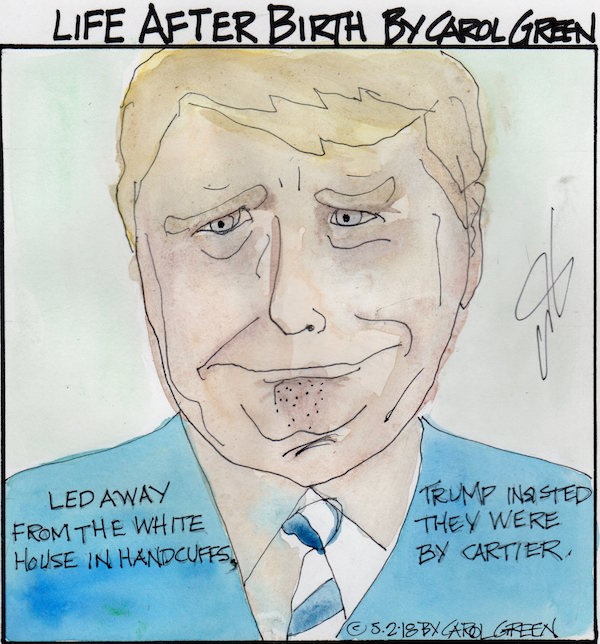 Ego, vanity, malignant narcissism. These are the words we use to describe the man who took the White House. The never-Presidential President has gotta go. Wishing for a Trump-free America, Life After Birth offers this repeat performance cartoon.