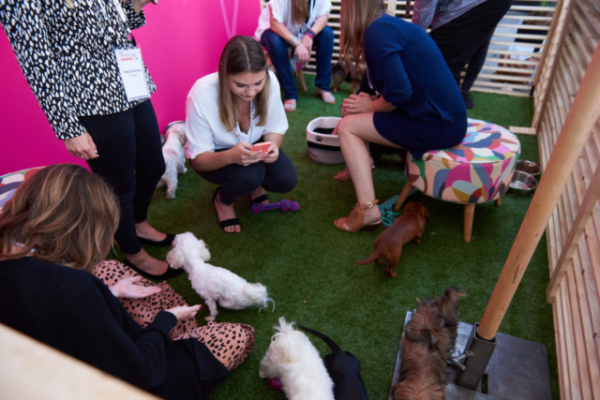 The Pet Collective offer a Puppy Powered Networking Space for Attendees (Credit Photo: IAB)