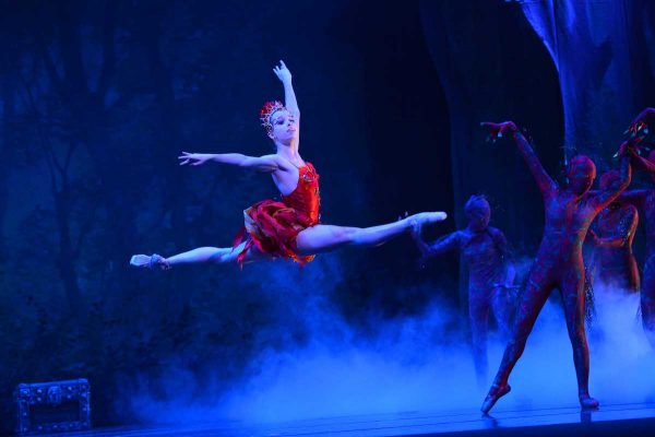 Festival Ballet. Photo courtesy of the artists.